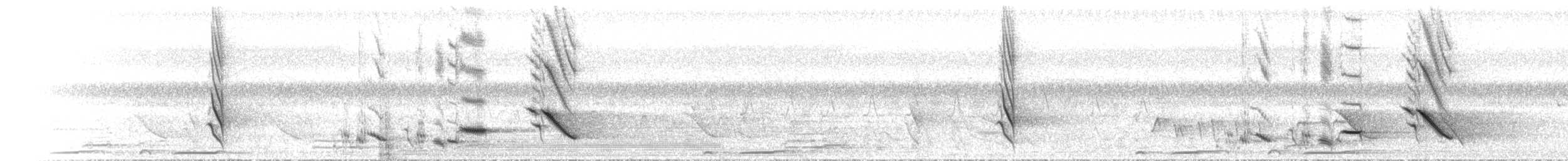 Australasian Figbird - ML646891570