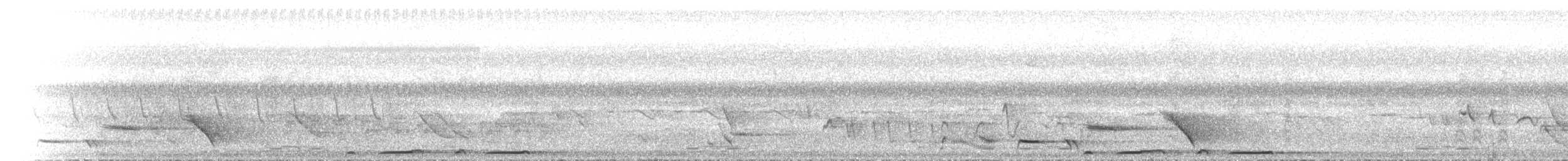 Bar-shouldered Dove - ML646891572