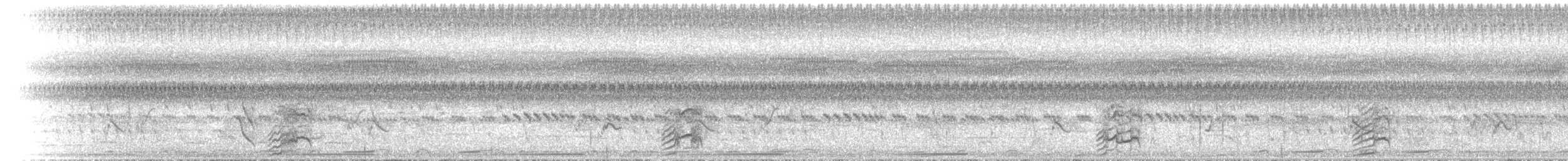 White-browed Crake - ML646891574