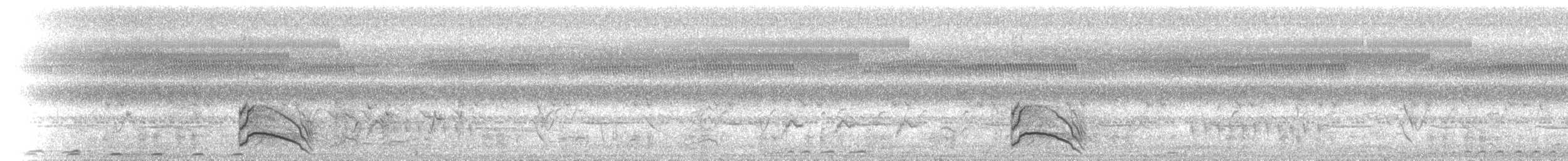 White-browed Crake - ML646891576