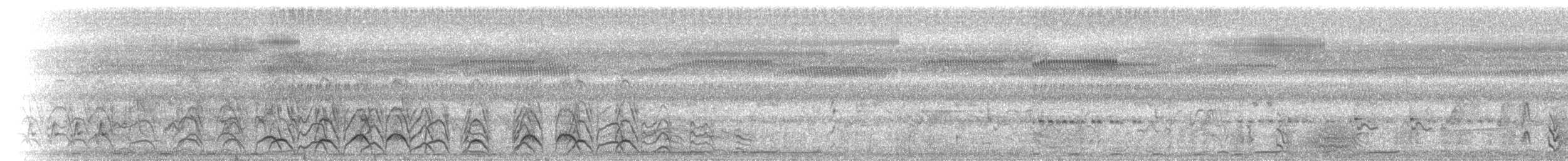 White-browed Crake - ML646891577