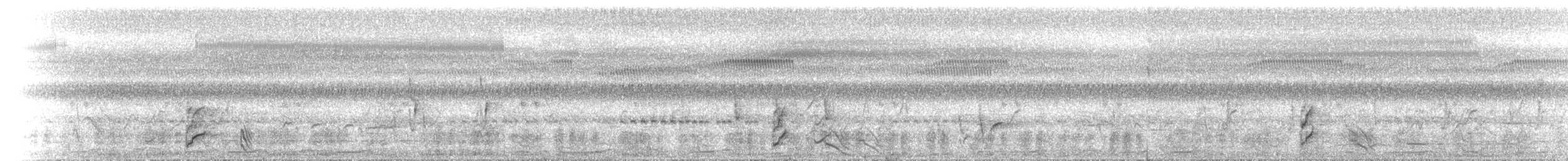 White-browed Crake - ML646891580