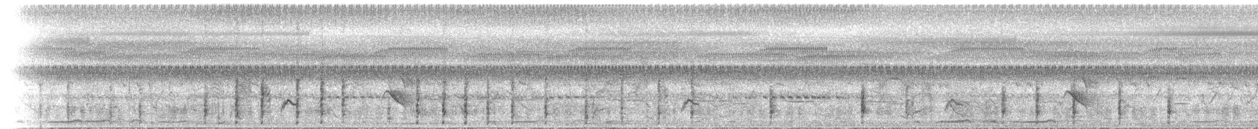 Spotless Crake - ML646891582