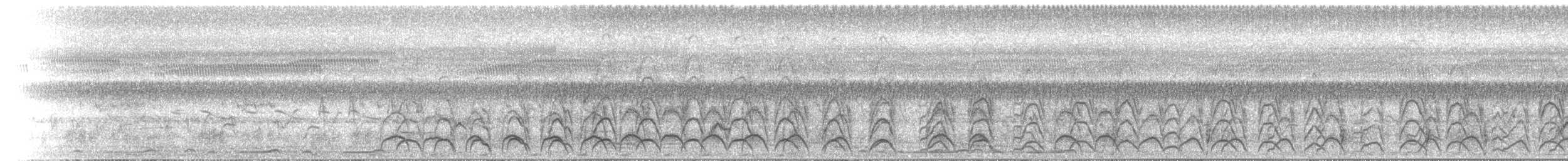 White-browed Crake - ML646891584