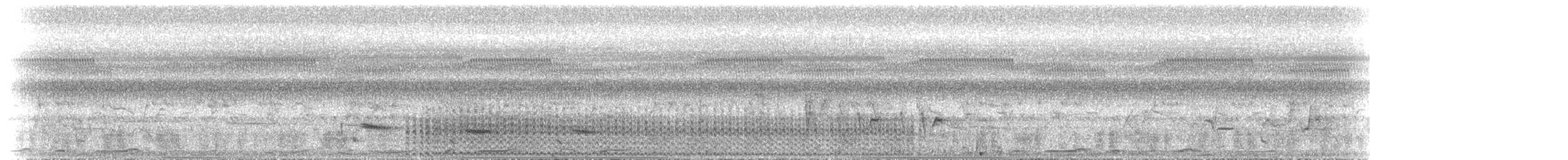 Spotless Crake - ML646891585