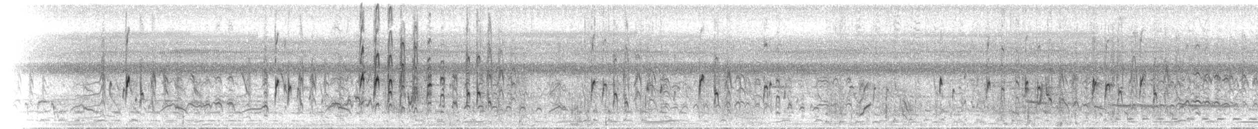 Wandering Whistling-Duck - ML646891598