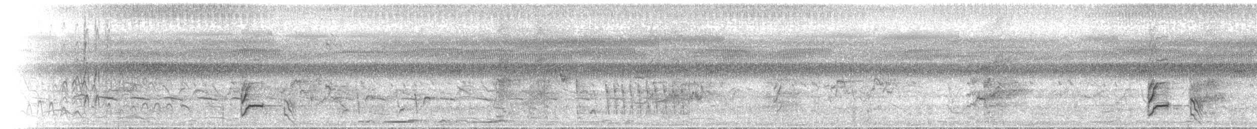 White-browed Crake - ML646891599