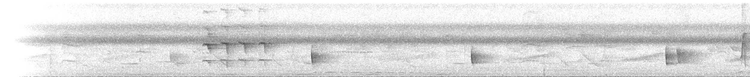 Cryptic Honeyeater - ML646891603