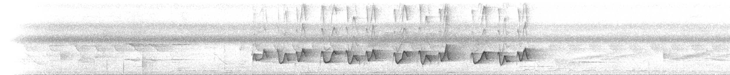 Macleay's Honeyeater - ML646891626