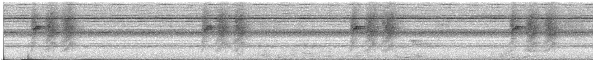 Black-naped Monarch - ML646892064