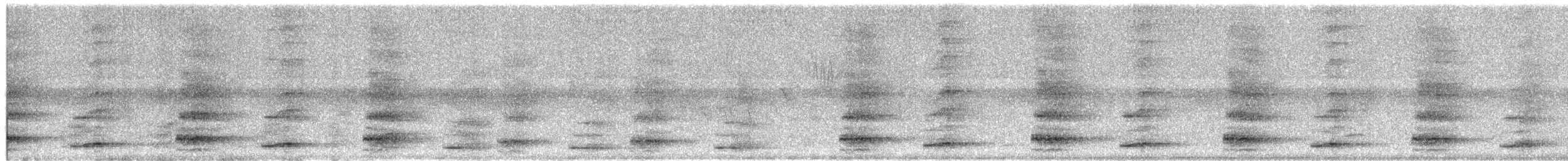 gråhalsrikse - ML646892456