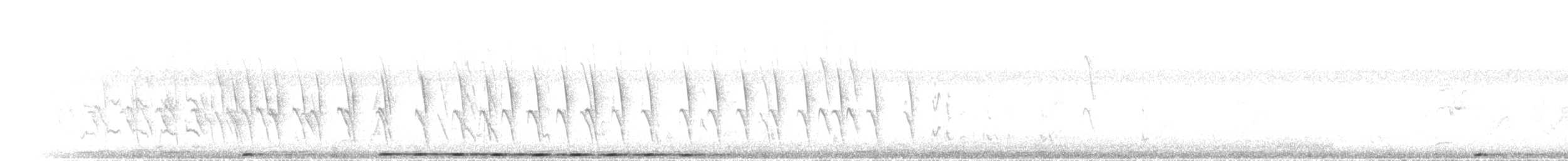 fasansporegjøk - ML646892486