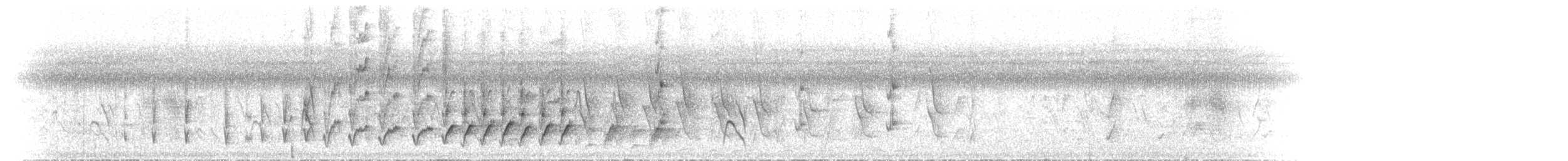 gulstripehonningeter - ML646892500