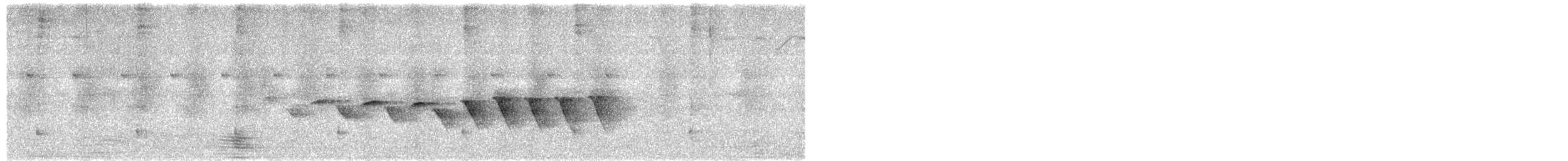 gulbukparula - ML646892550