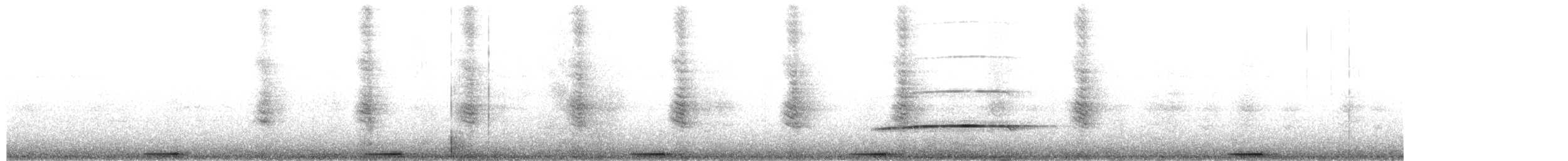 grådue - ML646892559