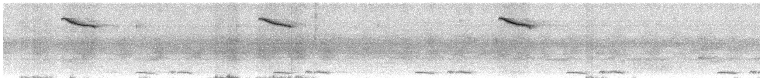 blekbrysttrost - ML646892665