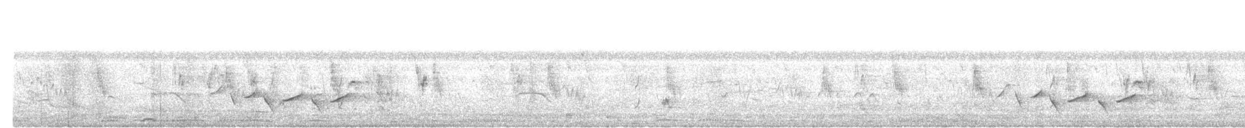 Common Iora - ML646892821