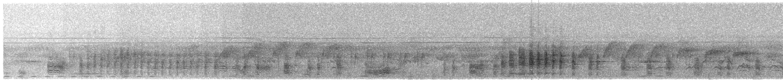 brednebbråke - ML646892854