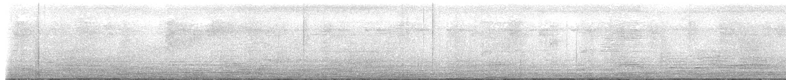 white-eye sp. - ML646894273