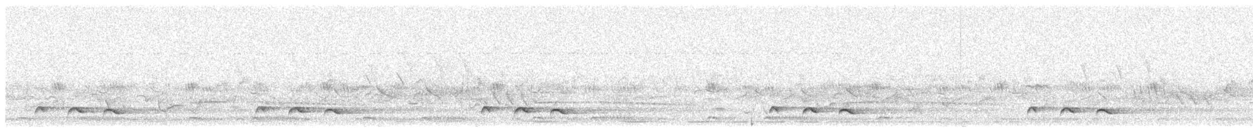 Red-chested Cuckoo - ML646894340