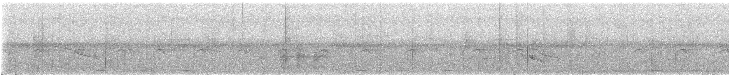 Sunda Cuckooshrike - ML646894369