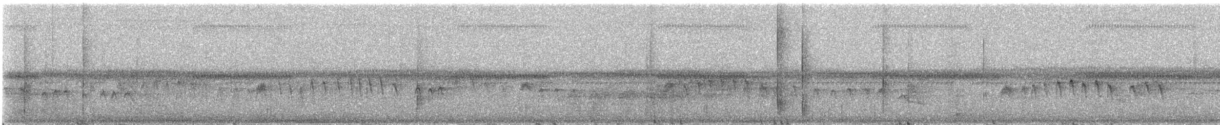 Horsfield's Babbler - ML646894408