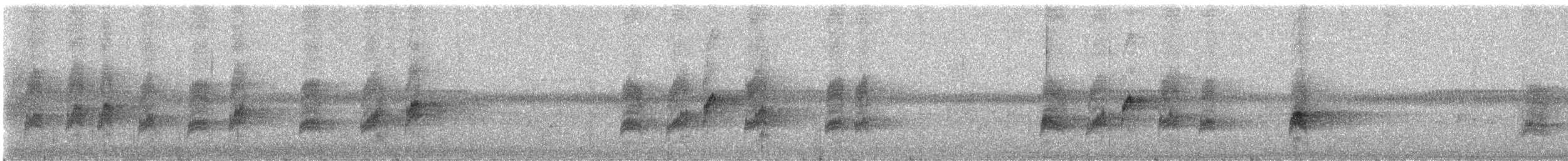 Horsfield's Babbler - ML646894409