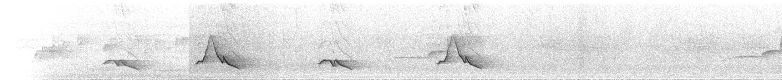 Black-faced Monarch - ML646894710