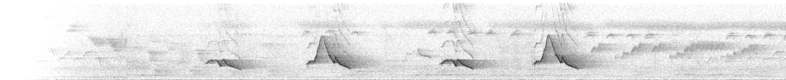 Black-faced Monarch - ML646894713