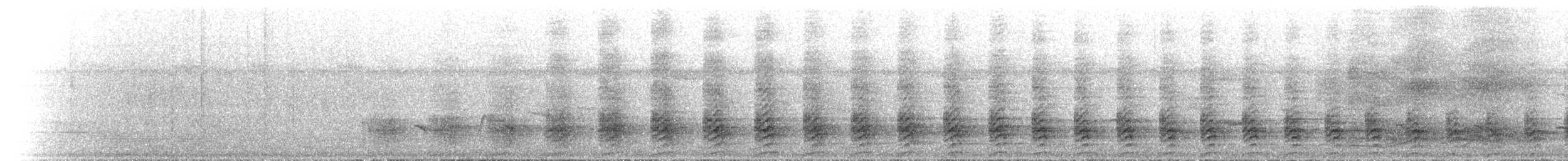 Dreifarbenralle - ML646894718