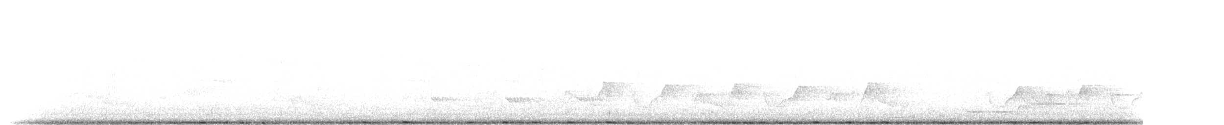 Dreifarbenralle - ML646894727