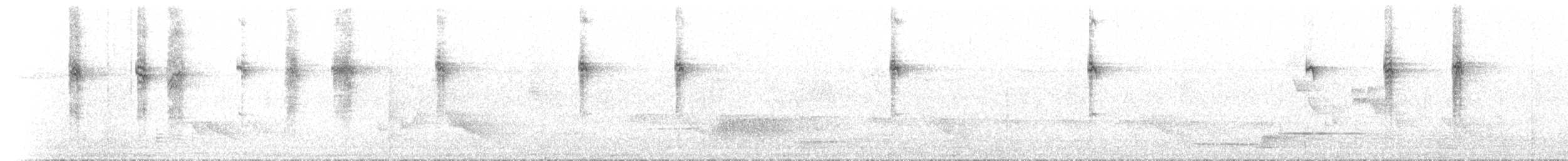 Graugesichtschnäpper - ML646894735