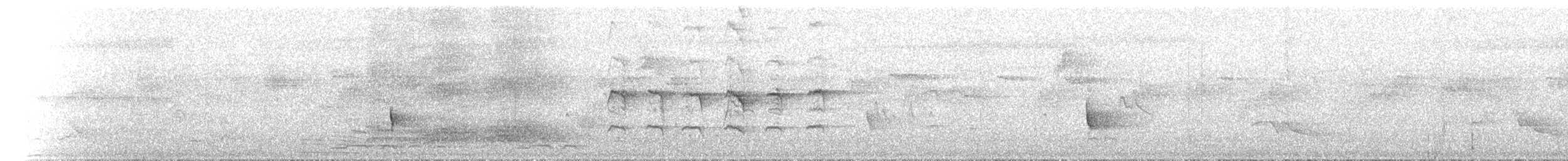 Elfenhonigfresser - ML646894745