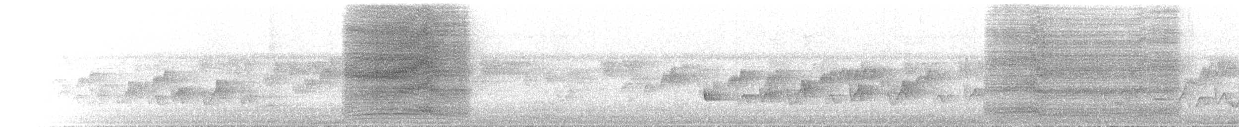 Tüpfellaubenvogel - ML646894747