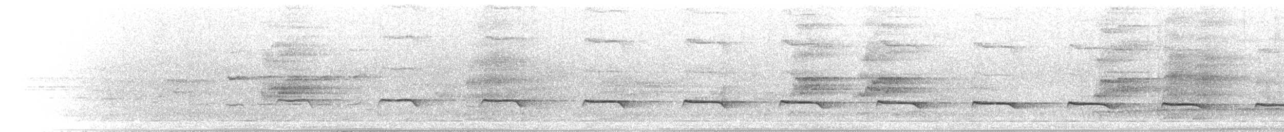 Sahul Çalı Guguğu - ML646894835