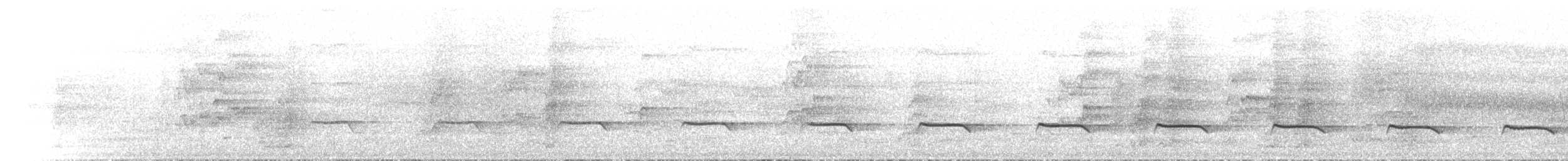 Sahul Çalı Guguğu - ML646894838