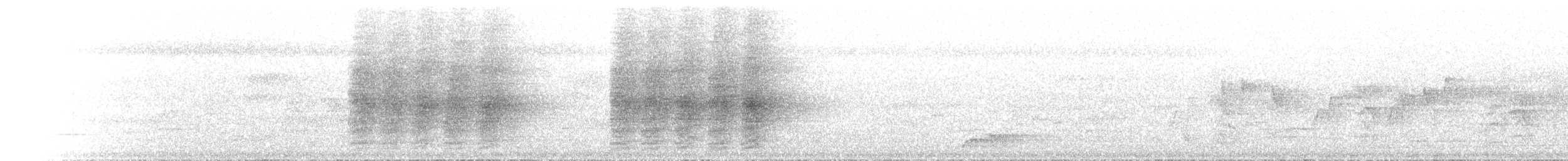 Yıldızlı Drongo - ML646894850