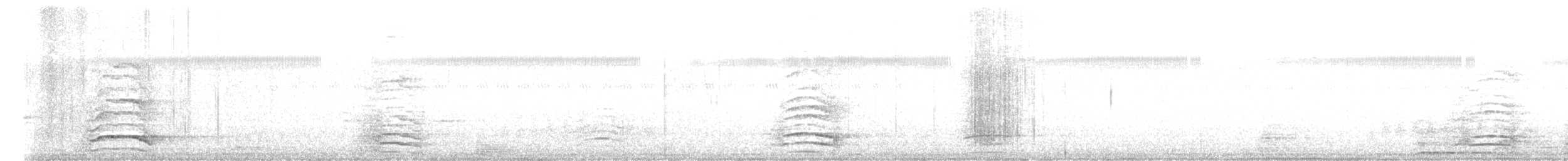 Malabar Boynuzgagası - ML646895116