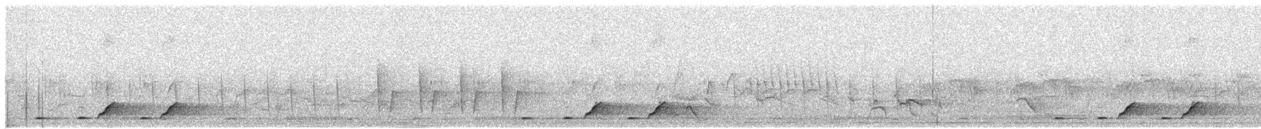 Four-colored Bushshrike - ML646895118