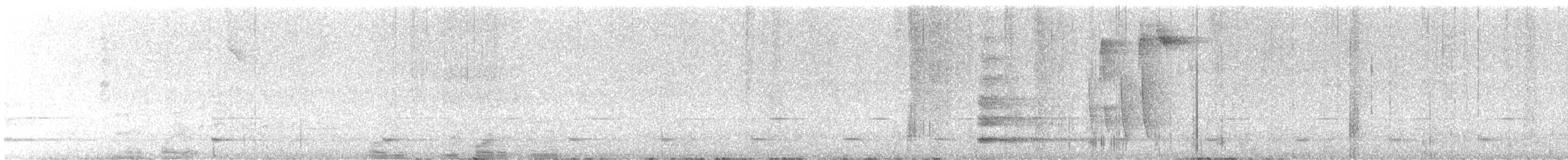 Bare-throated Bellbird - ML646895785