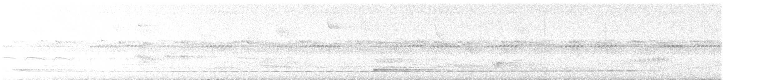 Such's Antthrush - ML646895832