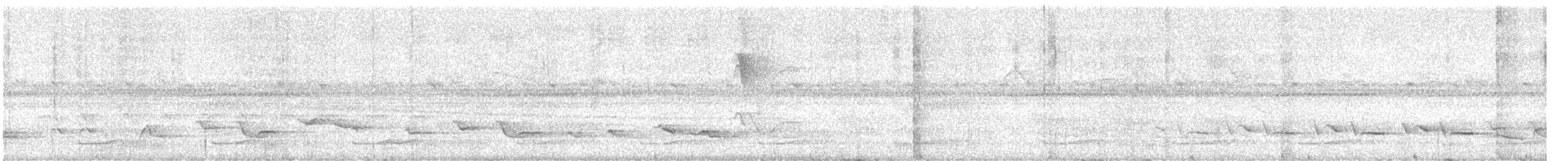 Short-tailed Nighthawk (nattereri) - ML646895845