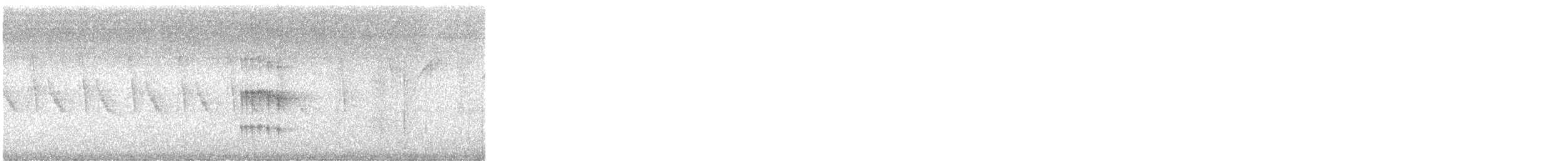 Eye-ringed Tody-Tyrant - ML646895992