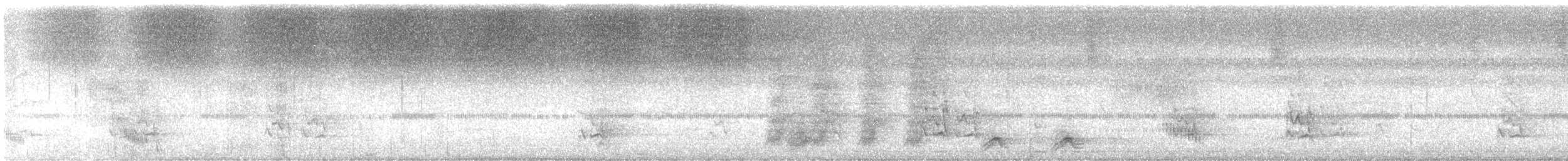 Red-rumped Cacique - ML646896070