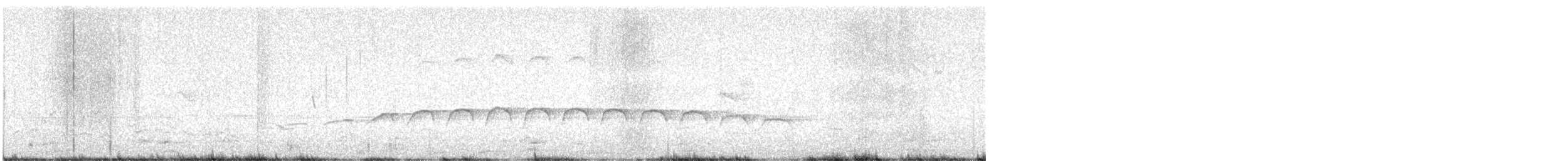 Large-tailed Antshrike - ML646896508