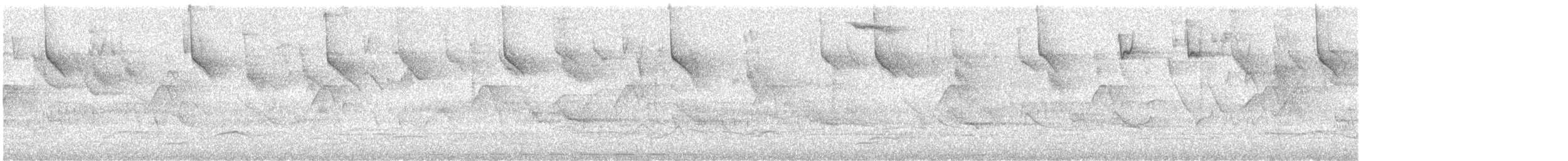 Variegated Antpitta - ML646896680