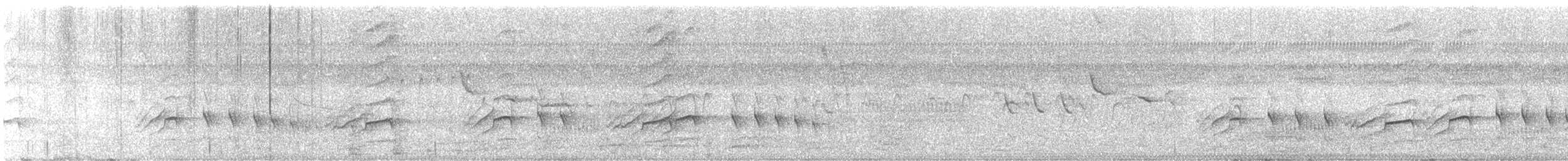 Râle noirâtre - ML646896740