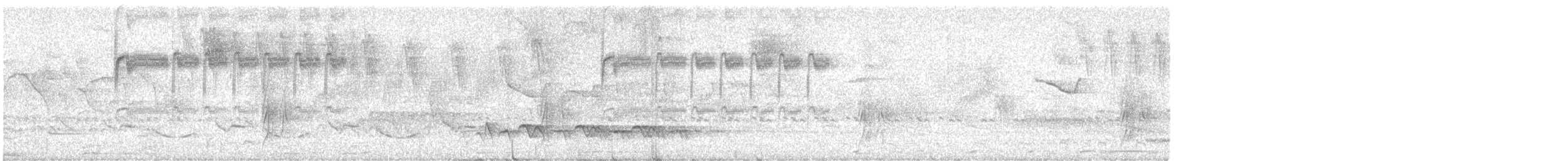 White-throated Hummingbird - ML646896764