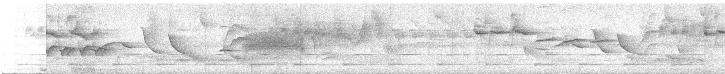 Ochre-rumped Antbird - ML646896843