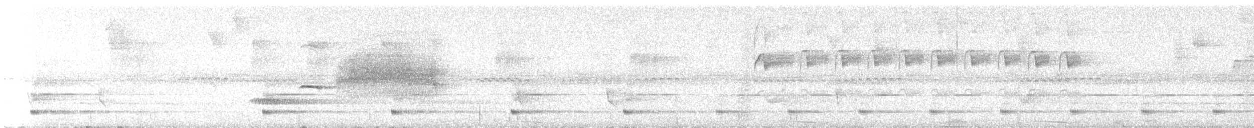 Ochre-rumped Antbird - ML646896844